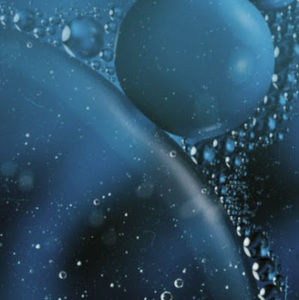 Meet your Posher, Ronny